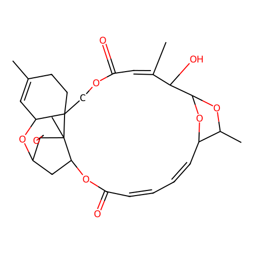 RORIDIN J structure