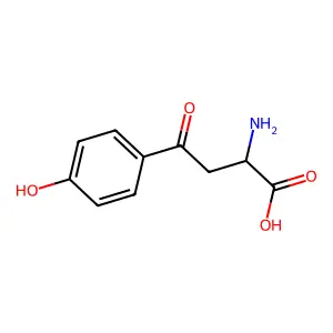 2-Amino-4-(4-hydroxyphenyl)-4-oxobutanoic acid structure