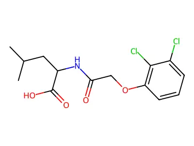 2-[[2-(2,3-Dichlorophenoxy)acetyl]amino]-4-methyl-pentanoic acid structure