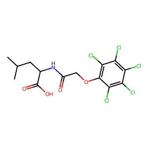 4-Methyl-2-[[2-(2,3,4,5,6-pentachlorophenoxy)acetyl]amino]pentanoic acid structure