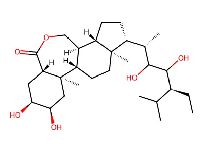 22S,23S-Homobrassinolide structure