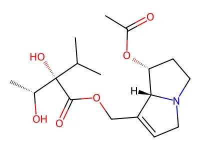 3'-Acetyllycopsamine structure