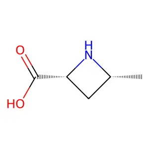 4-Methylazetidine-2-carboxylic acid structure