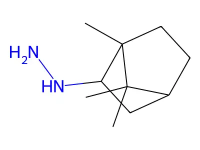 {1,7,7-Trimethylbicyclo[2.2.1]heptan-2-yl}hydrazine structure