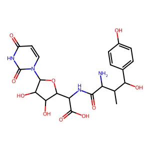 Nikkomycin B structure