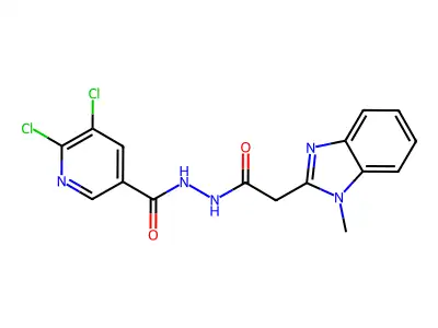 5,6-dichloro-N'-[2-(1-methyl-1H-1,3-benzodiazol-2-yl)acetyl]pyridine-3-carbohydrazide structure