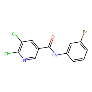 N-(3-bromophenyl)-5,6-dichloropyridine-3-carboxamide structure