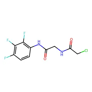 2-chloro-N-{[(2,3,4-trifluorophenyl)carbamoyl]methyl}acetamide structure