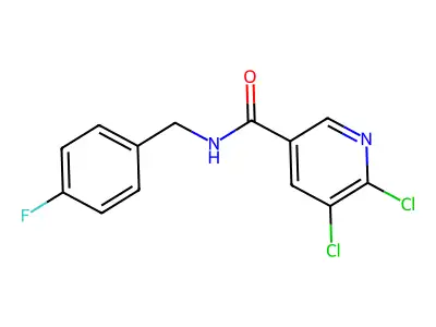 5,6-dichloro-N-[(4-fluorophenyl)methyl]pyridine-3-carboxamide structure