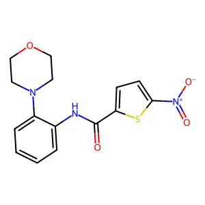 N-(2-morpholin-4-ylphenyl)-5-nitrothiophene-2-carboxamide structure