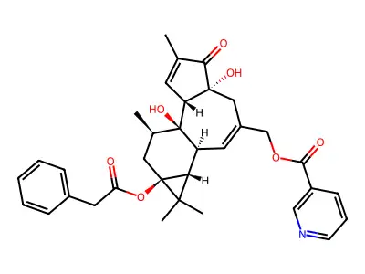 12-Deoxyphorbol-13-phenylacetate-20-nicotinoate structure