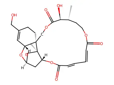 16-Hydroxyverrucarin A structure