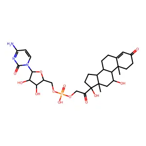 Cortisol-p-ara-C structure