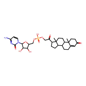 [5-(4-amino-2-oxopyrimidin-1-yl)-3,4-dihydroxyoxolan-2-yl]methyl [2-[(8S,9S,10R,13S,14S,17S)-10,13-dimethyl-3-oxo-1,2,6,7,8,9,11,12,14,15,16,17-dodecahydrocyclopenta[a]phenanthren-17-yl]-2-oxoethyl] hydrogen phosphate structure