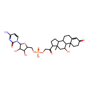[5-(4-amino-2-oxopyrimidin-1-yl)-3,4-dihydroxyoxolan-2-yl]methyl [2-(11-hydroxy-10,13-dimethyl-3-oxo-1,2,6,7,8,9,11,12,14,15,16,17-dodecahydrocyclopenta[a]phenanthren-17-yl)-2-oxoethyl] hydrogen phosphate structure