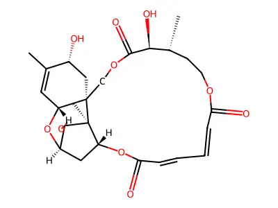 8beta-hydroxyverrucarin A structure
