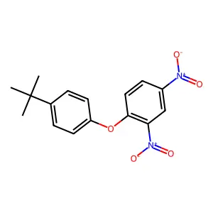 1-(4-Tert-butylphenoxy)-2,4-dinitrobenzene structure
