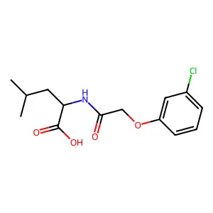 2-[[2-(3-Chlorophenoxy)acetyl]amino]-4-methylpentanoic acid structure