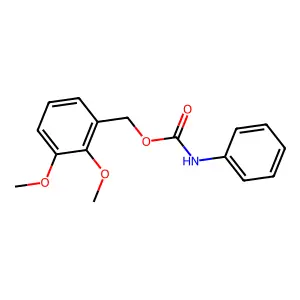 (2,3-Dimethoxyphenyl)methyl phenylcarbamate structure
