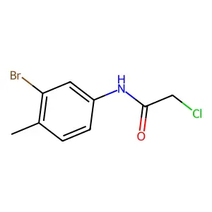 N-(3-bromo-4-methylphenyl)-2-chloroacetamide structure