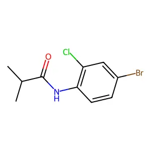N-(4-bromo-2-chlorophenyl)-2-methylpropanamide structure