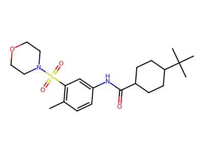4-tert-butyl-N-(4-methyl-3-morpholin-4-ylsulfonylphenyl)cyclohexane-1-carboxamide structure