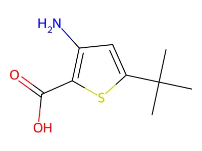 3-Amino-5-tert-butylthiophene-2-carboxylic acid structure