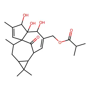 Ingenol-20-isobutyrate structure