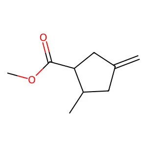 Methyl 2-methyl-4-methylenecyclopentanecarboxylate structure
