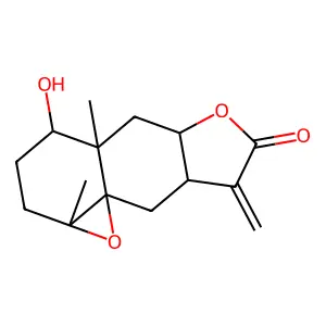 Meridianone structure