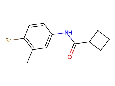 N-(4-溴-3-甲基苯基)环丁烷甲酰胺 structure