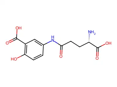 5-[(4-Amino-4-carboxybutanoyl)amino]-2-hydroxybenzoic acid structure