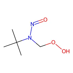 Hydroperoxide, ((1,1-dimethylethyl)nitrosoamino)methyl structure