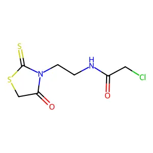 2-chloro-N-[2-(4-oxo-2-sulfanylidene-1,3-thiazolidin-3-yl)ethyl]acetamide structure