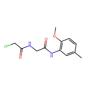 2-chloro-N-{2-[(2-methoxy-5-methylphenyl)amino]-2-oxoethyl}acetamide structure