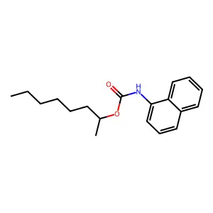 Octan-2-yl naphthalen-1-ylcarbamate structure