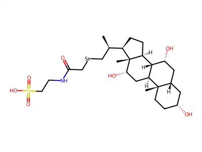 Tauroselcholic Acid structure
