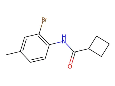 N-(2-bromo-4-methylphenyl)cyclobutanecarboxamide structure