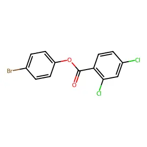 (4-Bromophenyl) 2,4-dichlorobenzoate structure