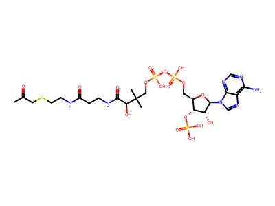 Acetonyl-coenzyme A structure