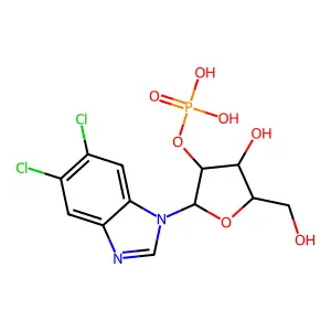 5,6-Dichloro-1-(beta-ribofuranosyl)benzimidazole 2'-phosphate structure