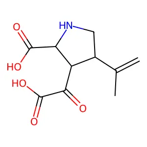 α-酮红藻氨酸 structure