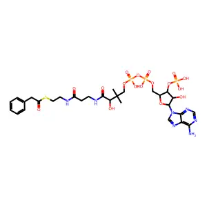 苯乙酰辅酶A structure