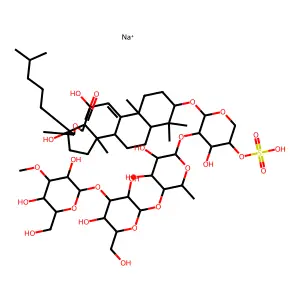 Echinoside A structure