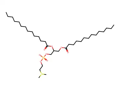 Dimyristoylphosphatidylsulfocholine structure