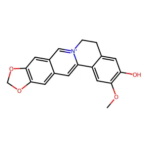 Benzo(a)(1,3)benzodioxolo(5,6-g)quinolizinium, 5,6-dihydro-3-hydroxy-2-methoxy- structure