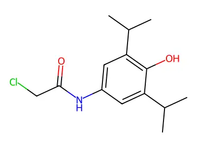 2-chloro-N-[4-hydroxy-3,5-bis(propan-2-yl)phenyl]acetamide structure