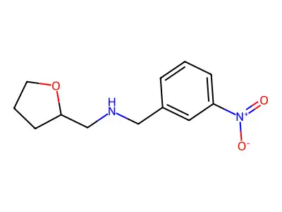 N-(3-Nitrobenzyl)-1-(tetrahydrofuran-2-yl)methanamine structure