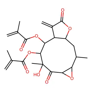 CU4-From florida state university structure