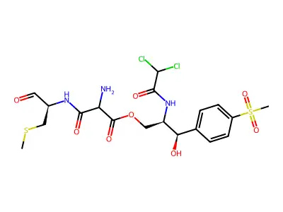 Thiamphenicol glycinate acetylcysteinate structure